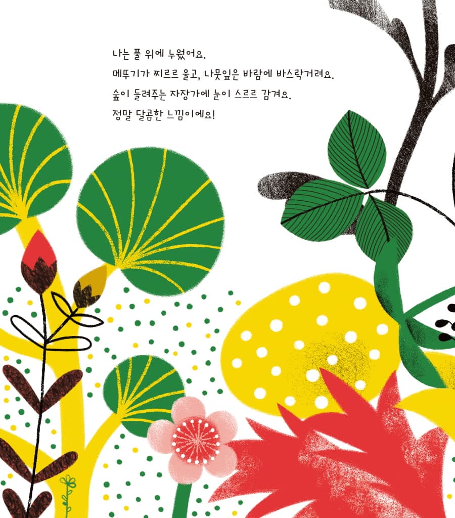 숲의 자장가