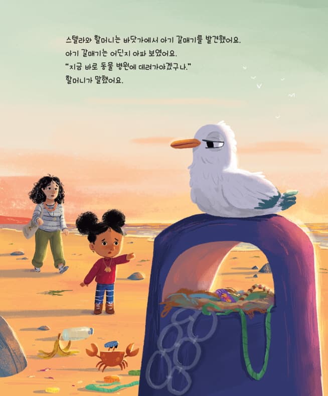 스텔라, 아기 갈매기를 구해 줘!