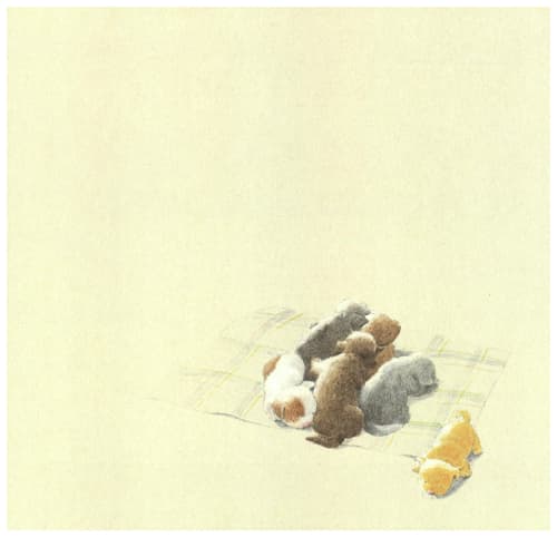 신발이 열리는 나무