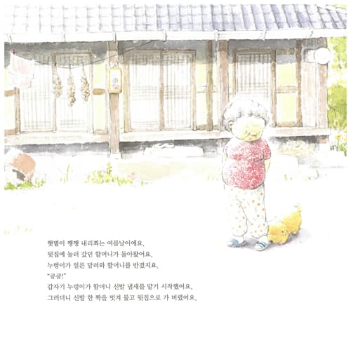 신발이 열리는 나무