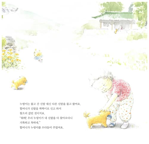 신발이 열리는 나무