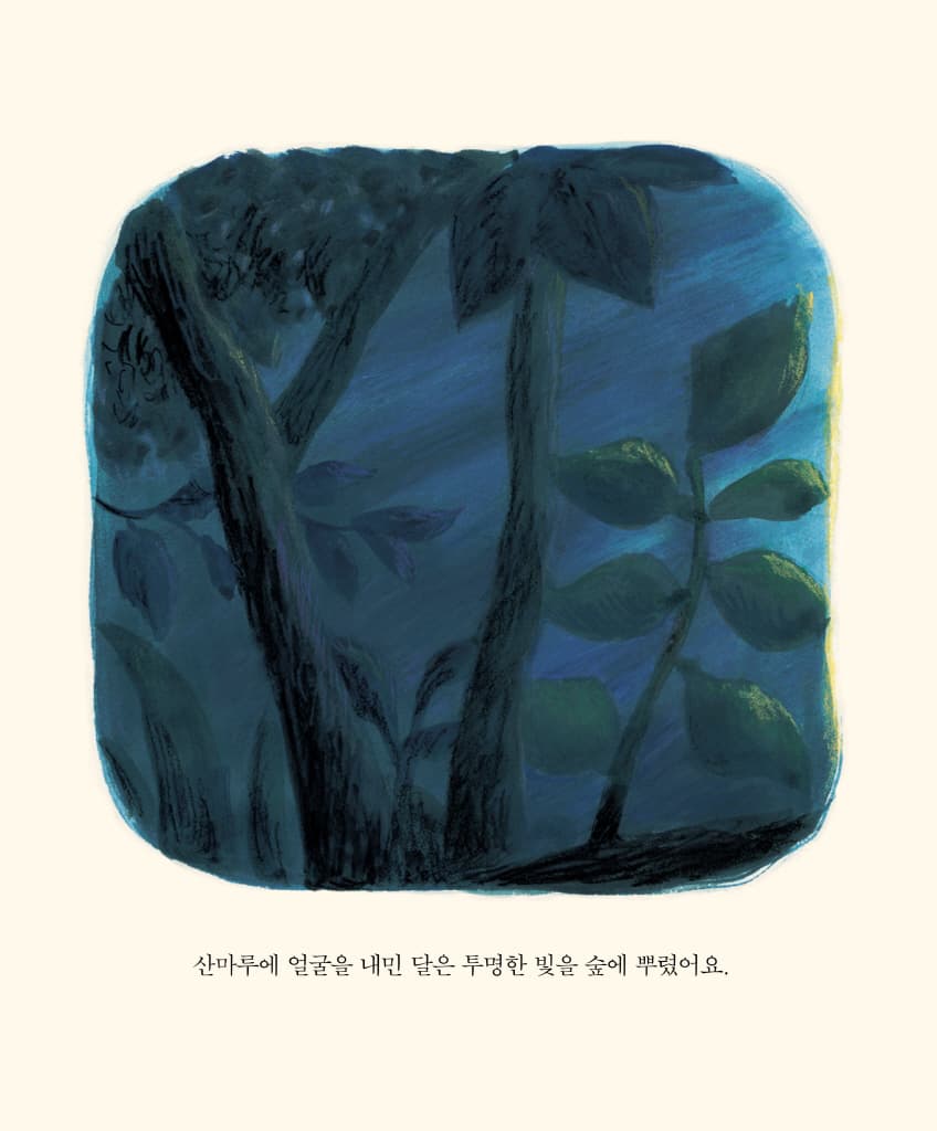 신비의 달