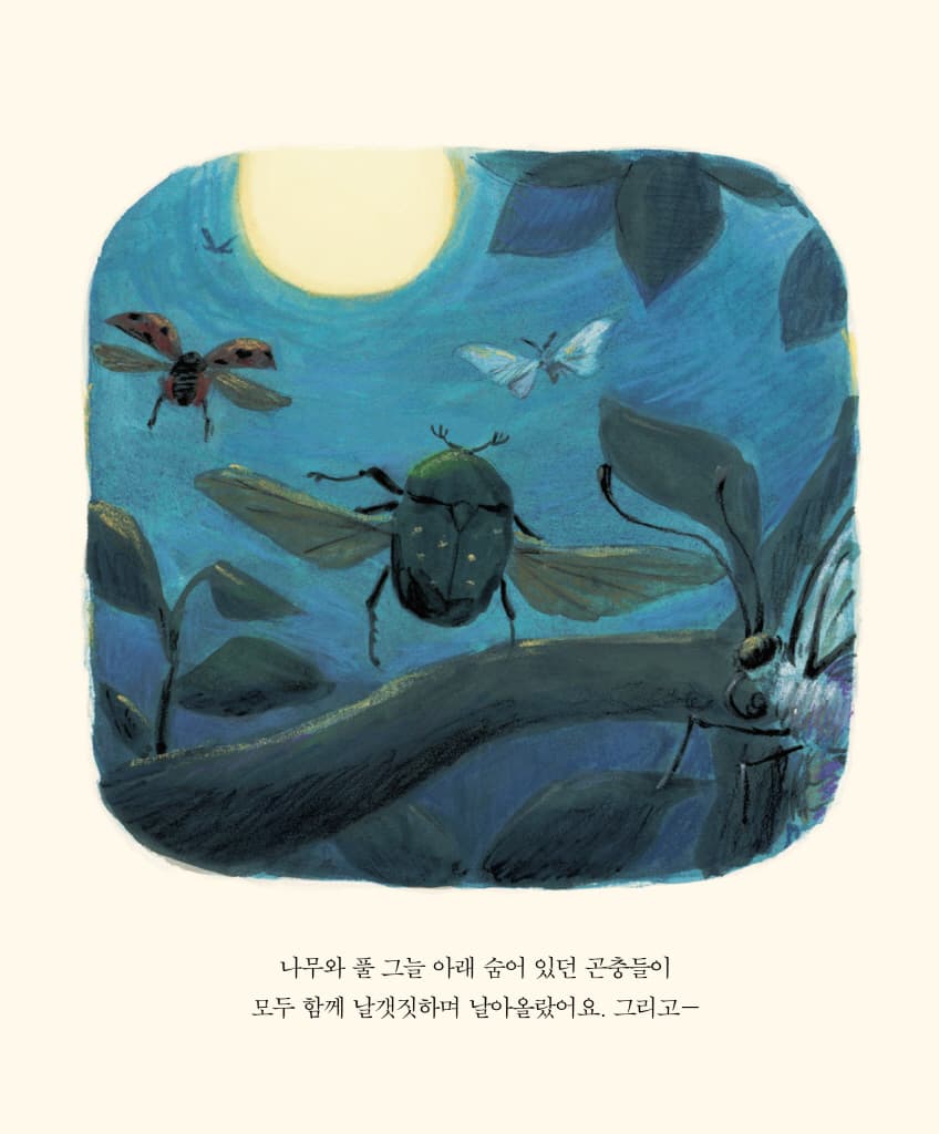 신비의 달