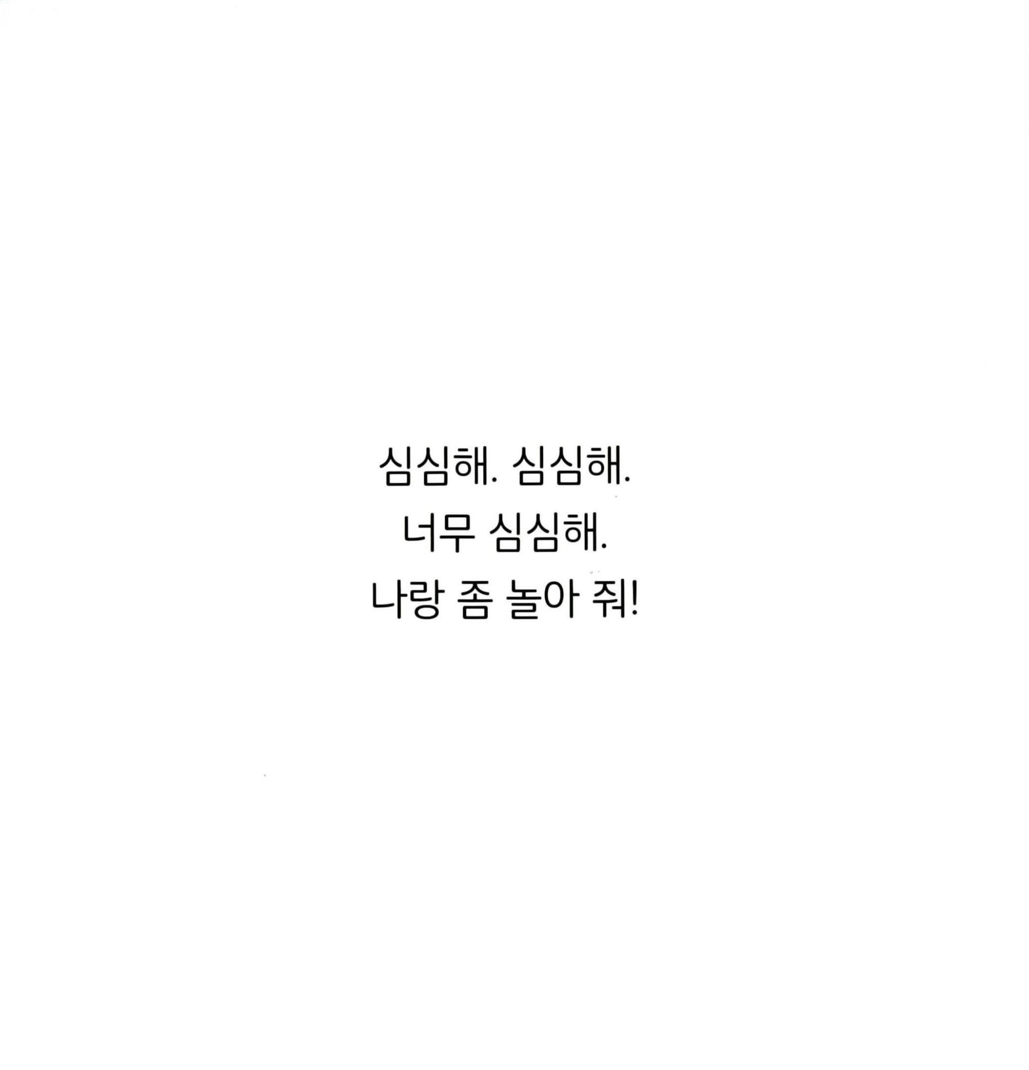 심심한 강아지