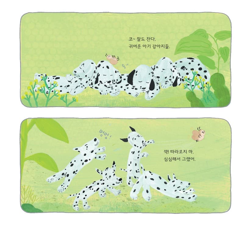 심심한 악어와 심심한 무당벌레