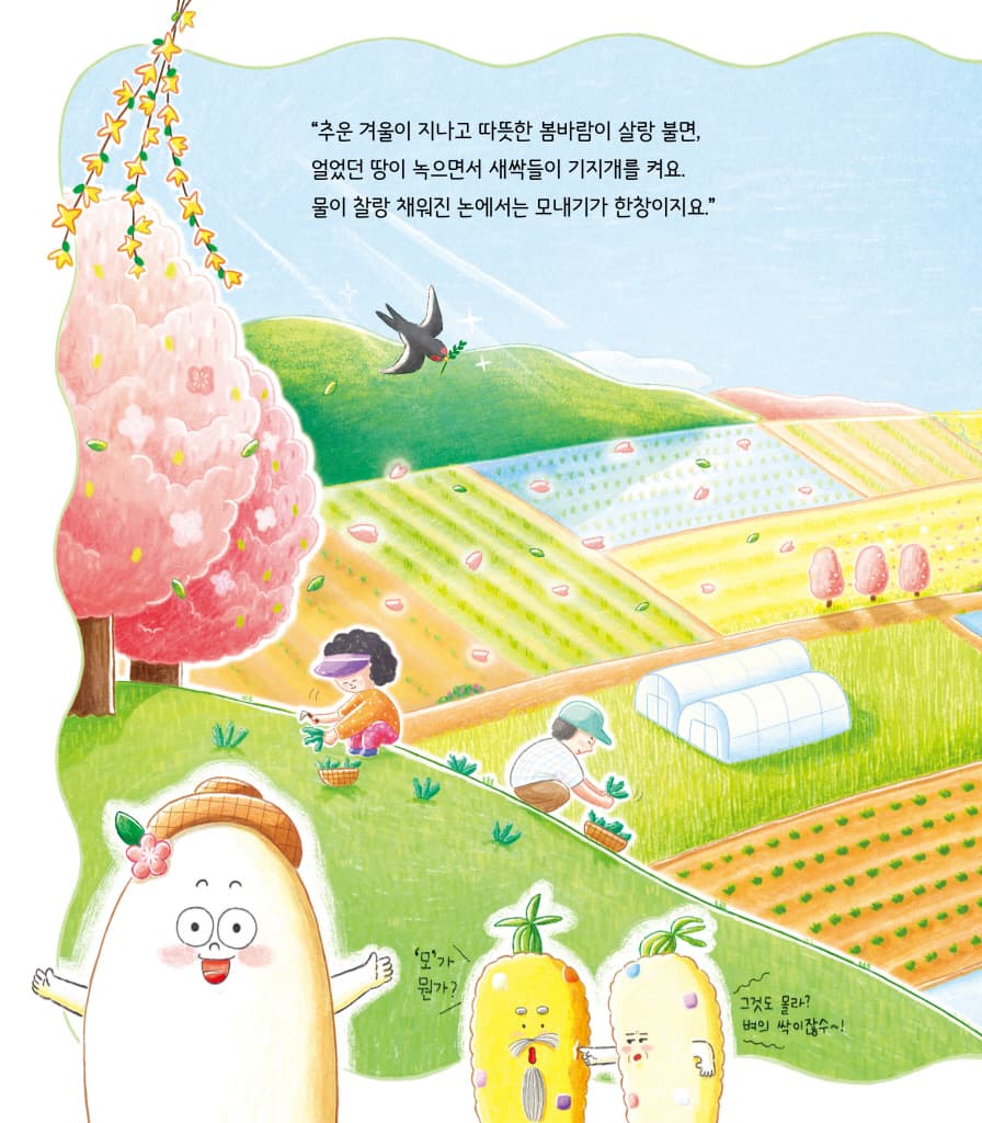 쌀이 말했어