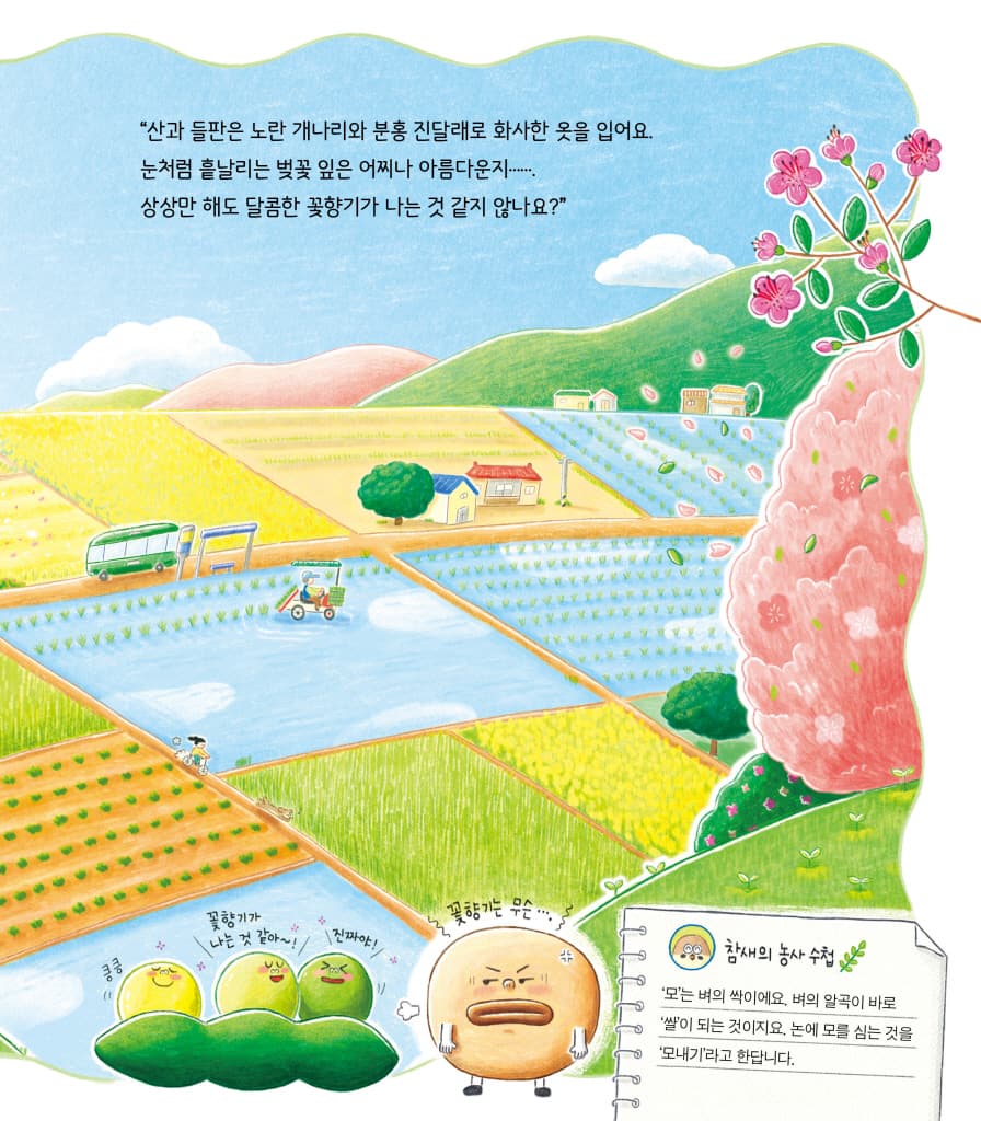 쌀이 말했어
