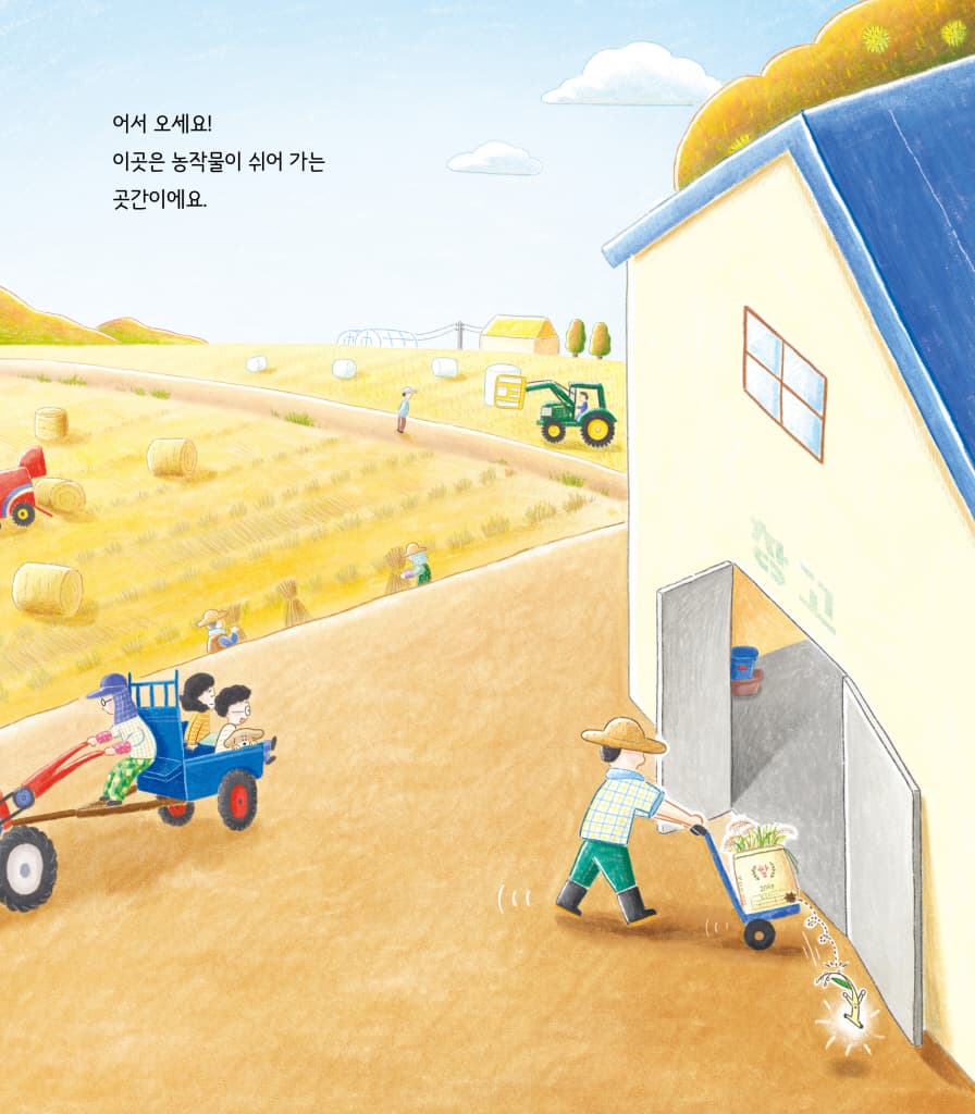 쌀이 말했어