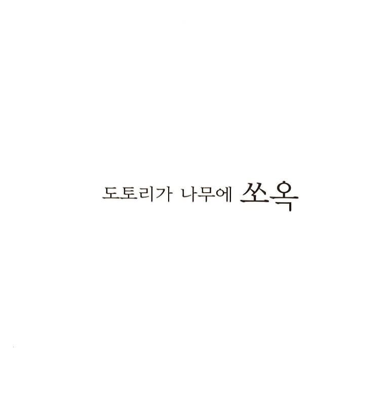 쏘옥 뿌직