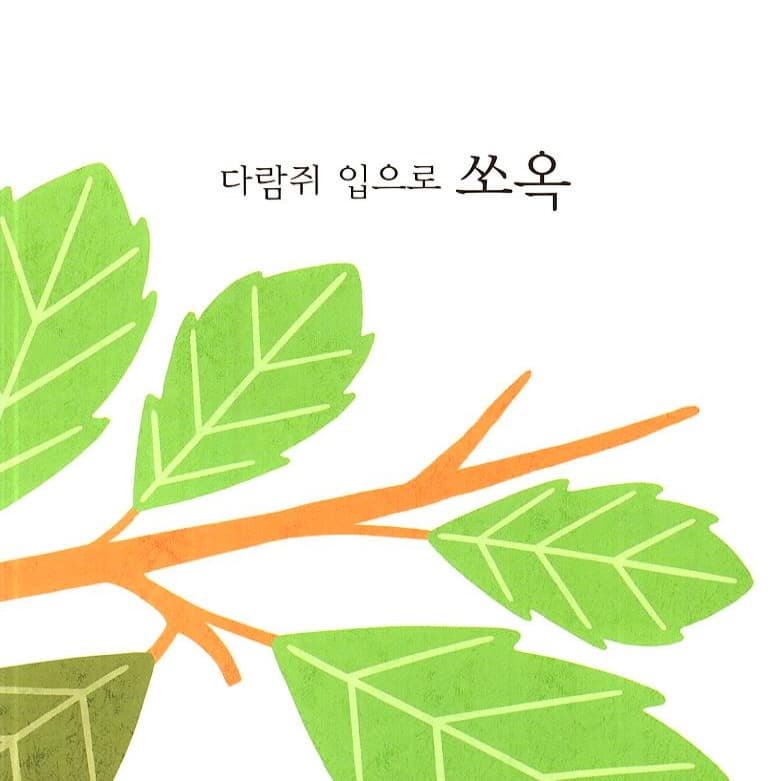 쏘옥 뿌직