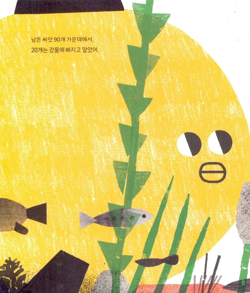 씨앗 100개가 어디로 갔을까