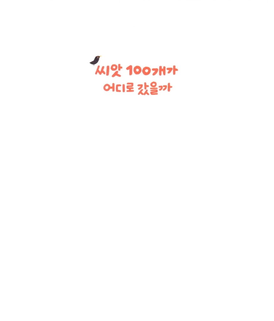 씨앗 100개가 어디로 갔을까