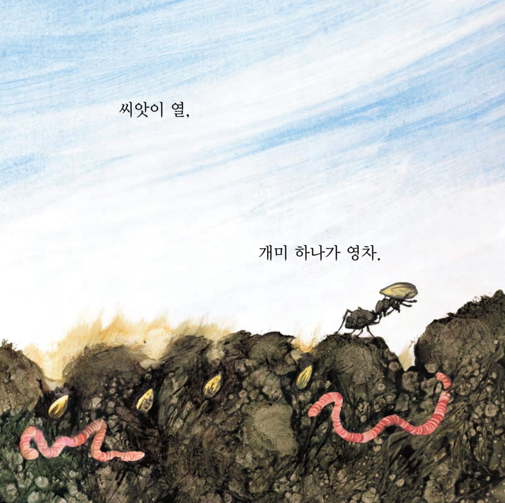 씨앗은 어디로 갔을까?