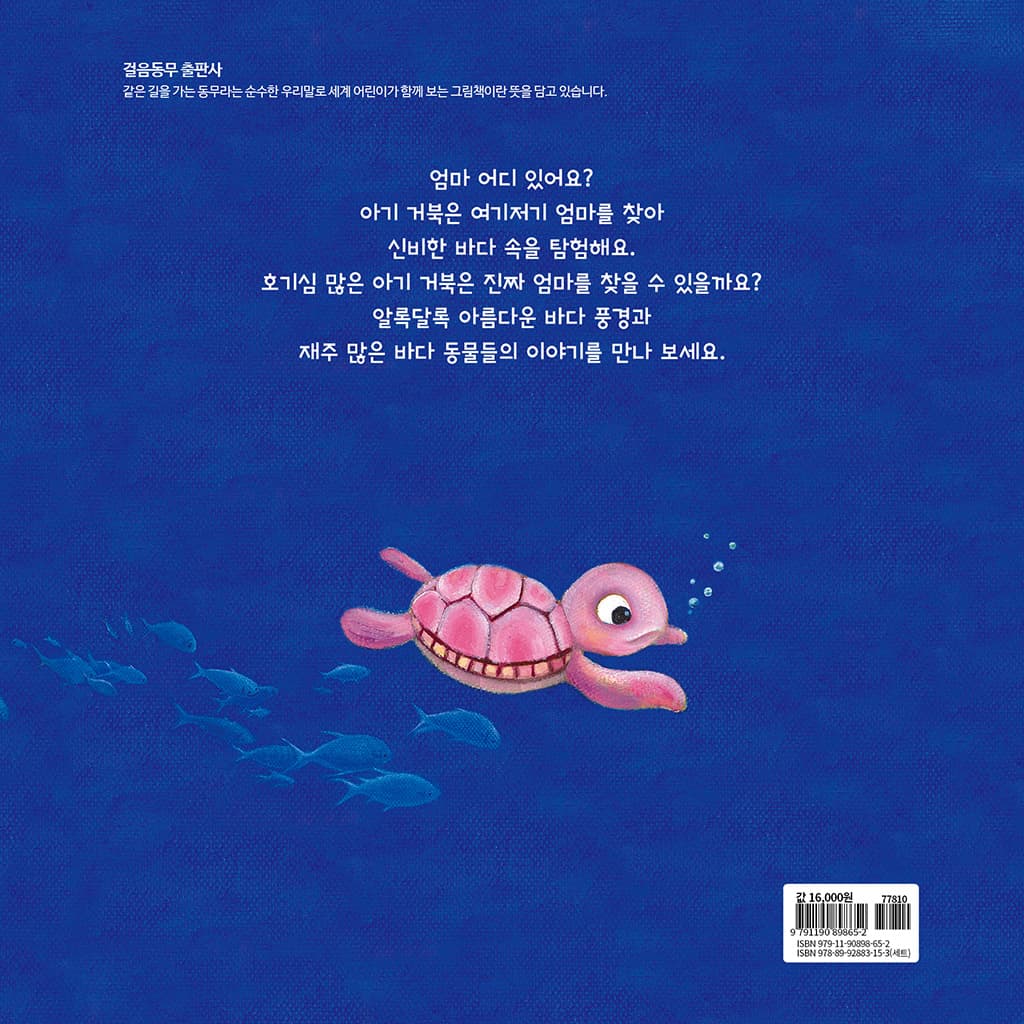 아기 거북