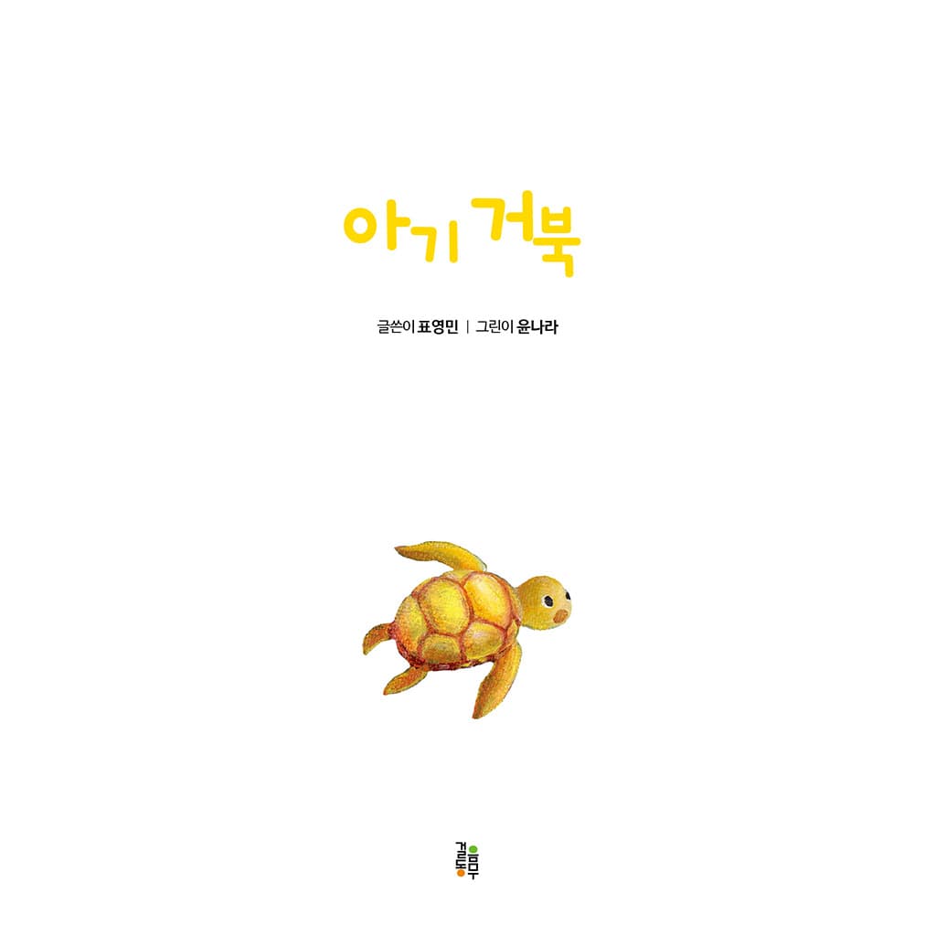 아기 거북