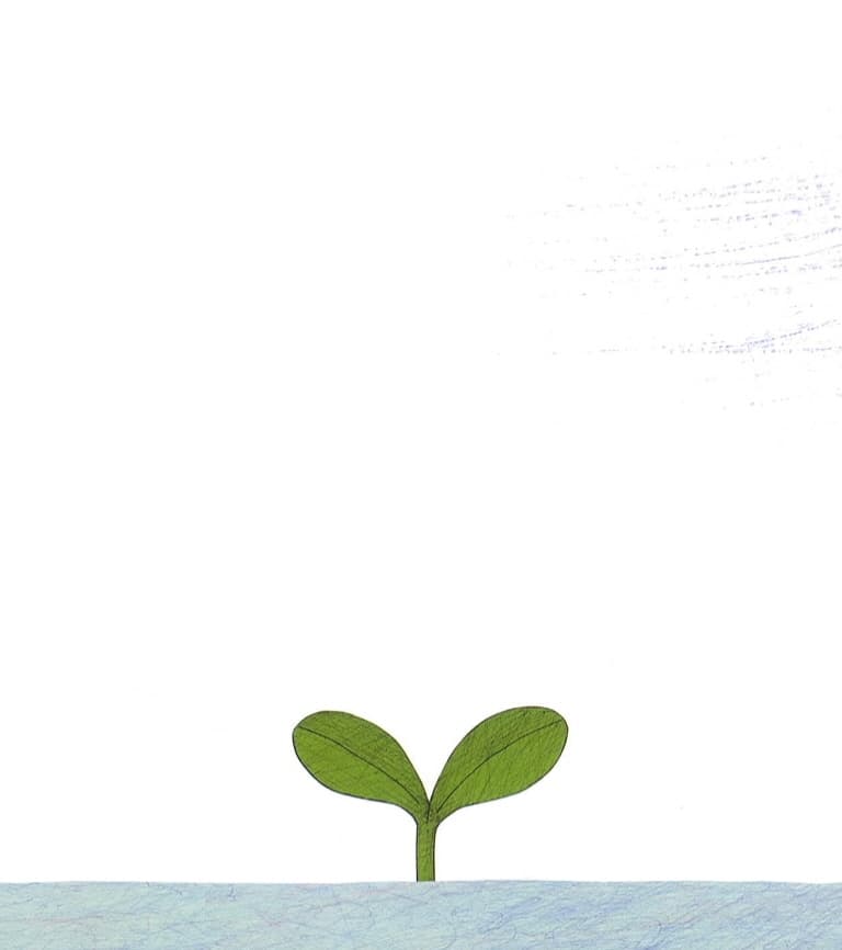 아기 꽃이 펑!