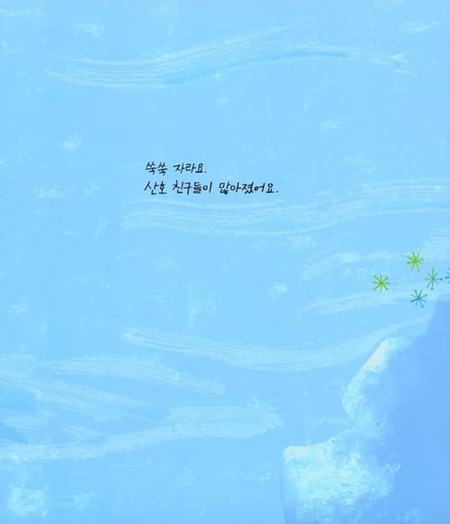 아기 산호 플라눌라