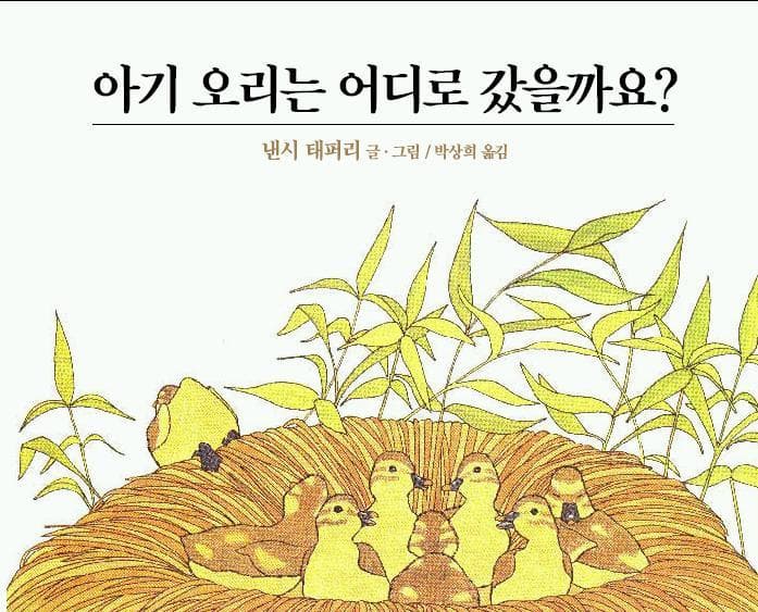 아기 오리는 어디로 갔을까요?