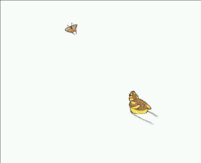 아기 오리는 어디로 갔을까요?