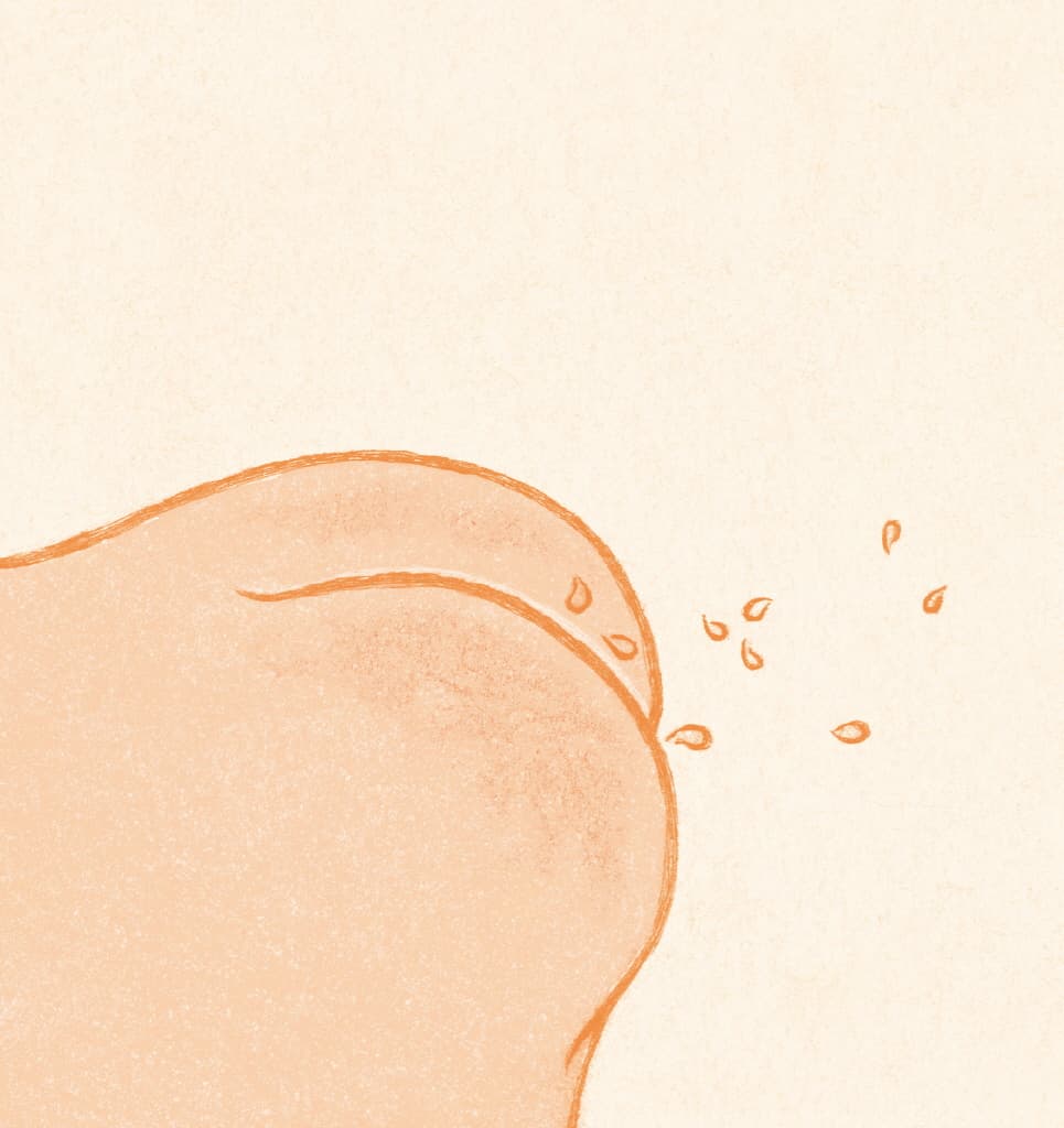 아기똥