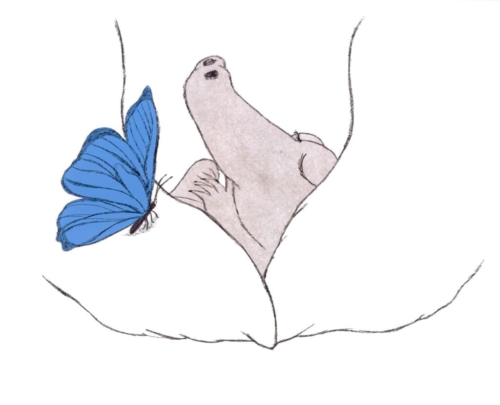 파랑 오리