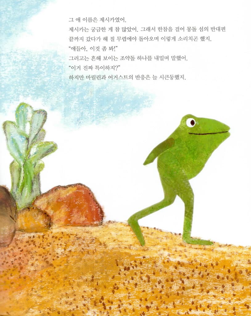 아주 특이한 알
