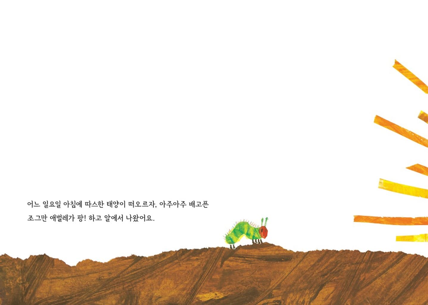아주아주 배고픈 애벌레