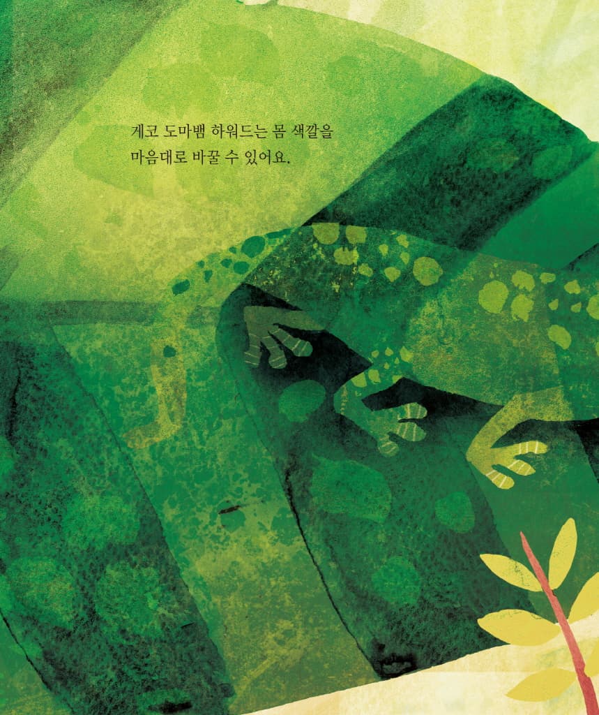 아주아주 평범한 게코 도마뱀 하워드