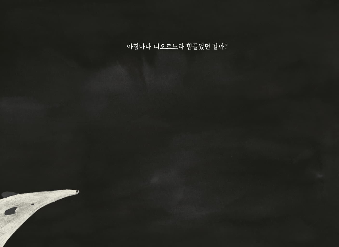 아침을 기다리는 숲