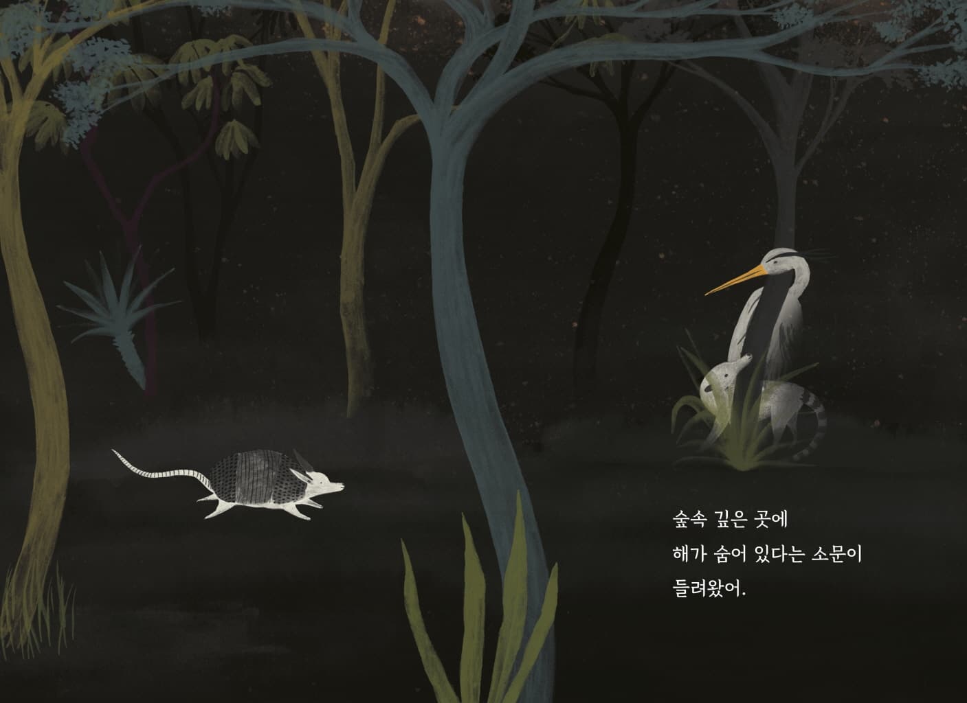 아침을 기다리는 숲