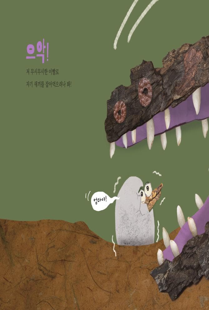 악어 엄마