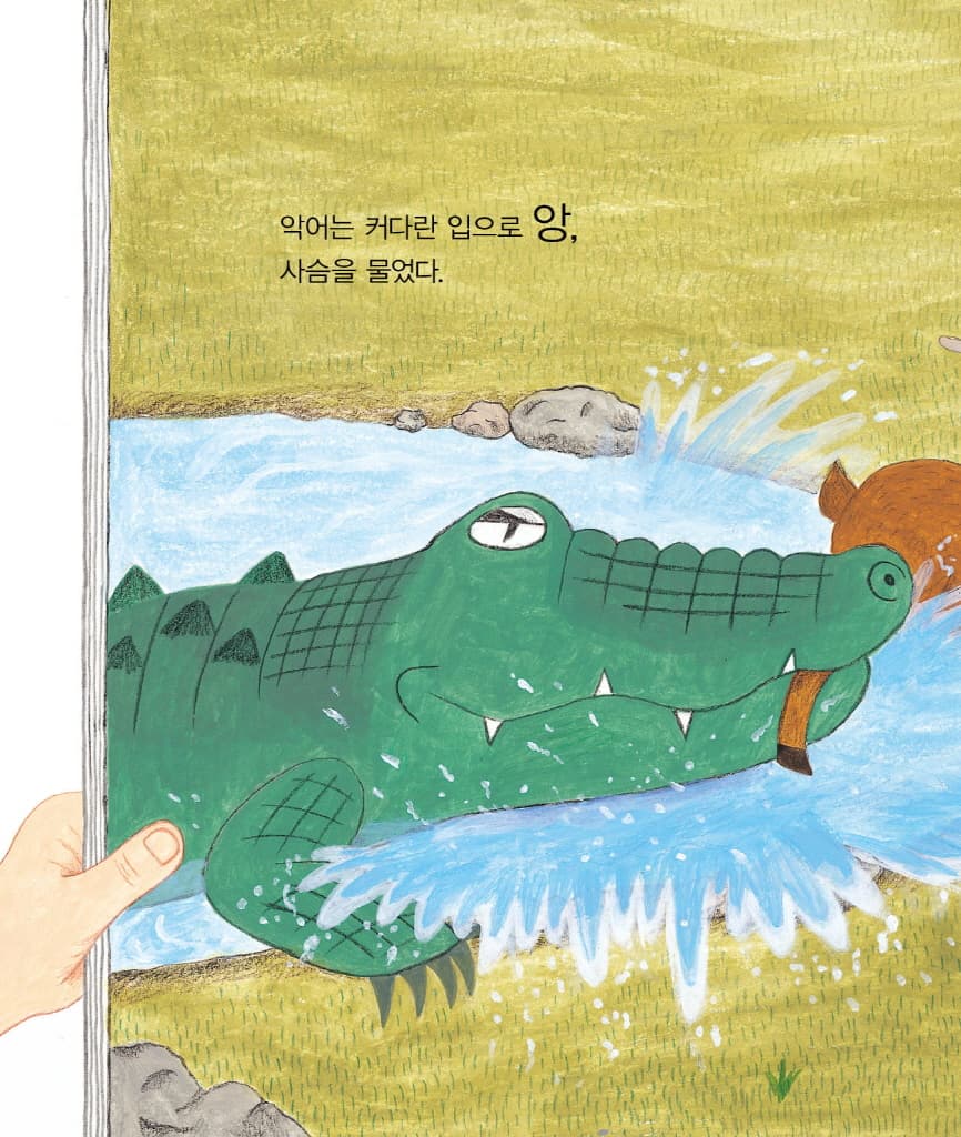 악어가 온다