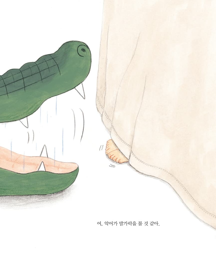 악어가 온다