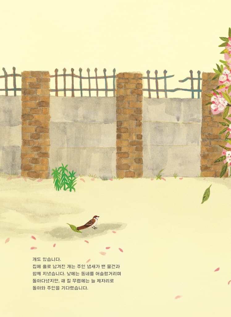 안녕, 우리들의 집