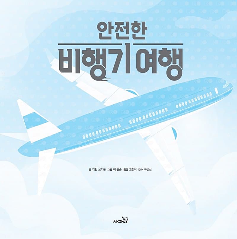 안전한 비행기 여행