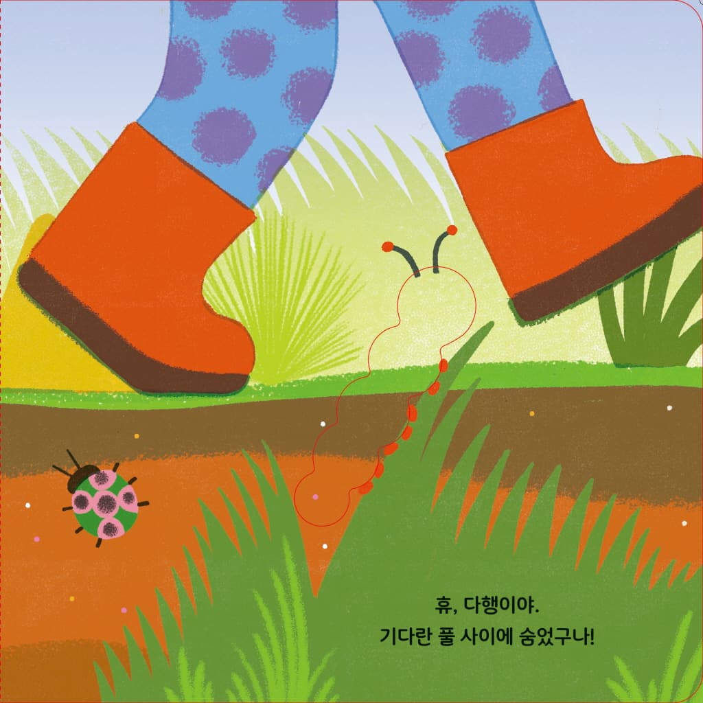 애벌레 한 마리가