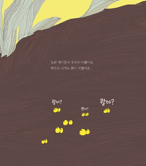 야호! 수박
