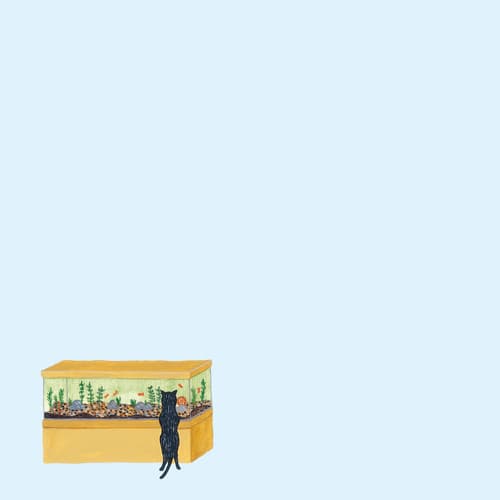 팔딱팔딱 목욕탕