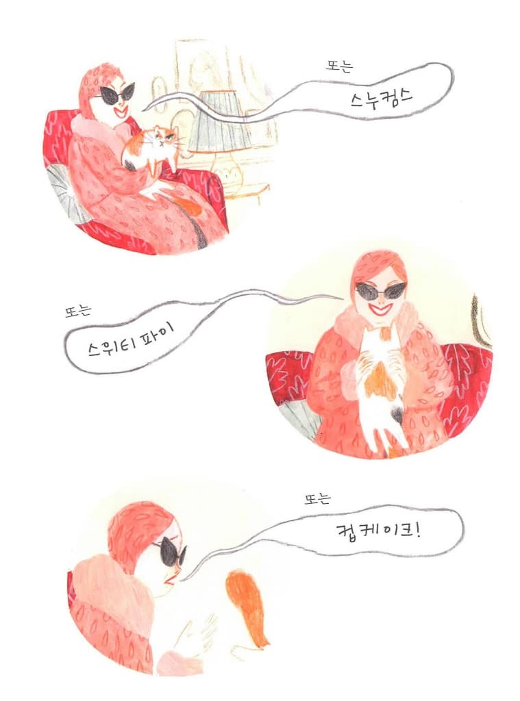 어느 날, 고양이가 왔다