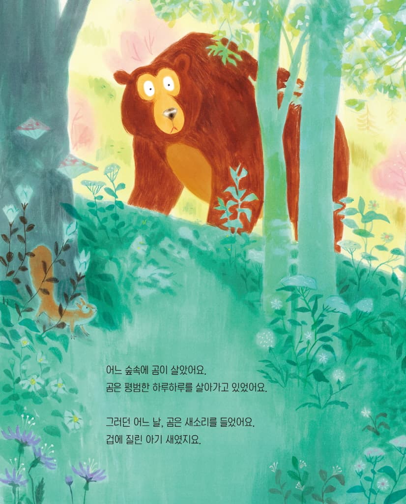 어느 평범한 곰의 이야기
