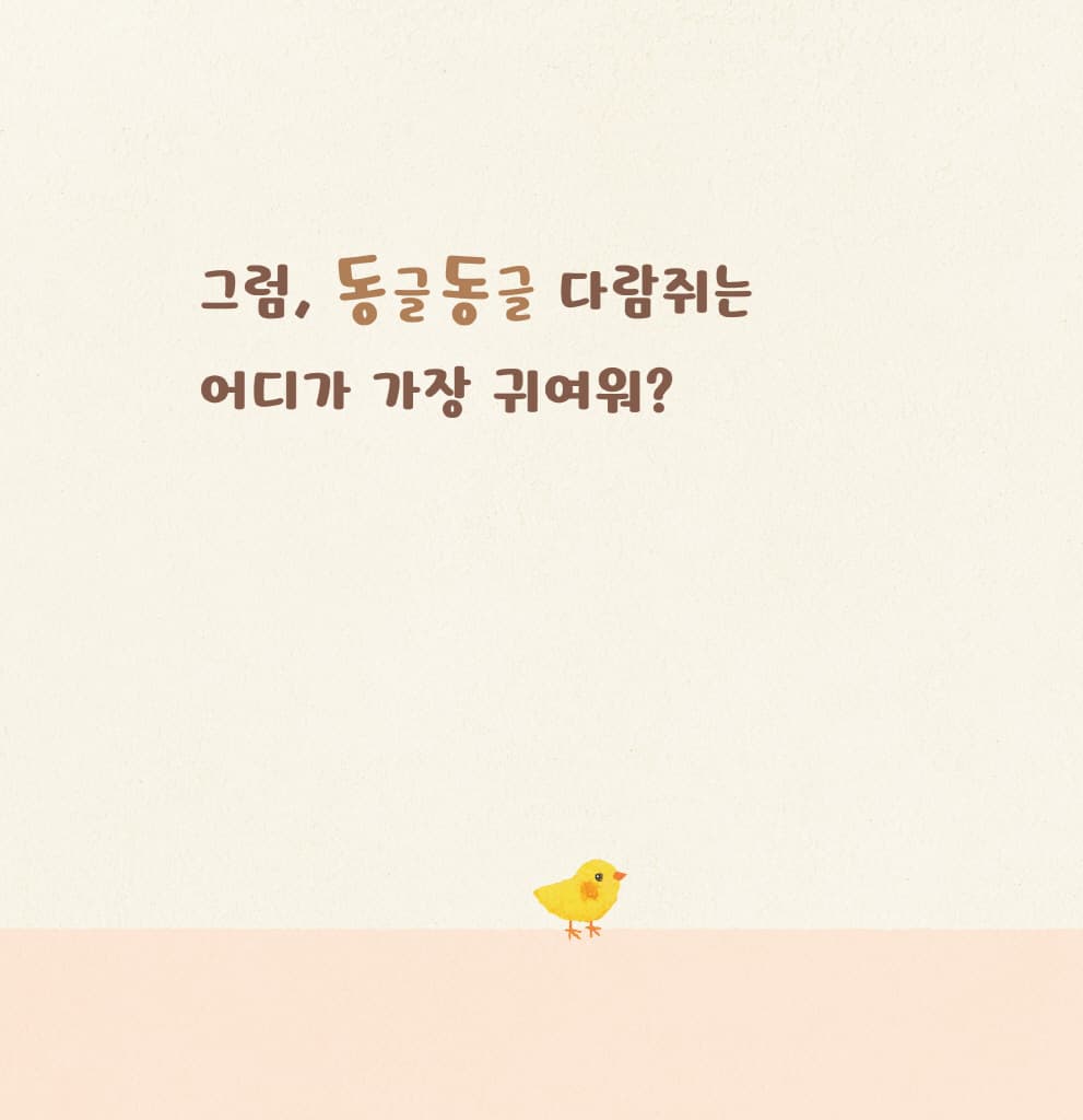 어디가 가장 귀여워?