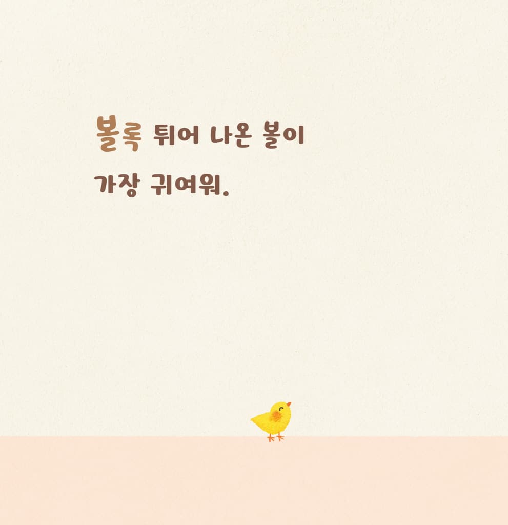 어디가 가장 귀여워?