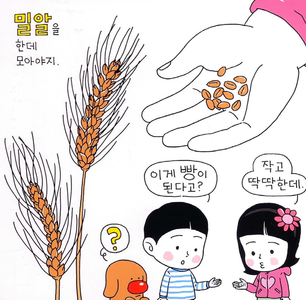 어디서 왔을까? 빵