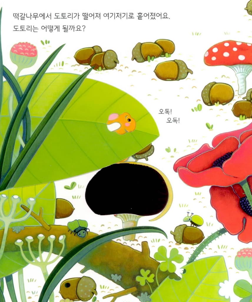 어디어디 숨었니? 신비한 나무
