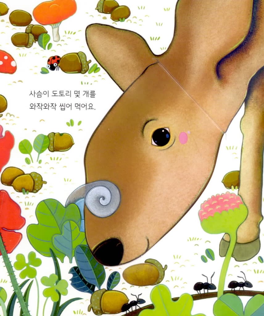 어디어디 숨었니? 신비한 나무