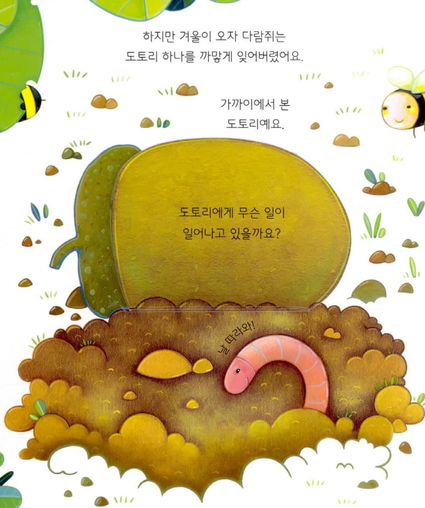 어디어디 숨었니? 신비한 나무