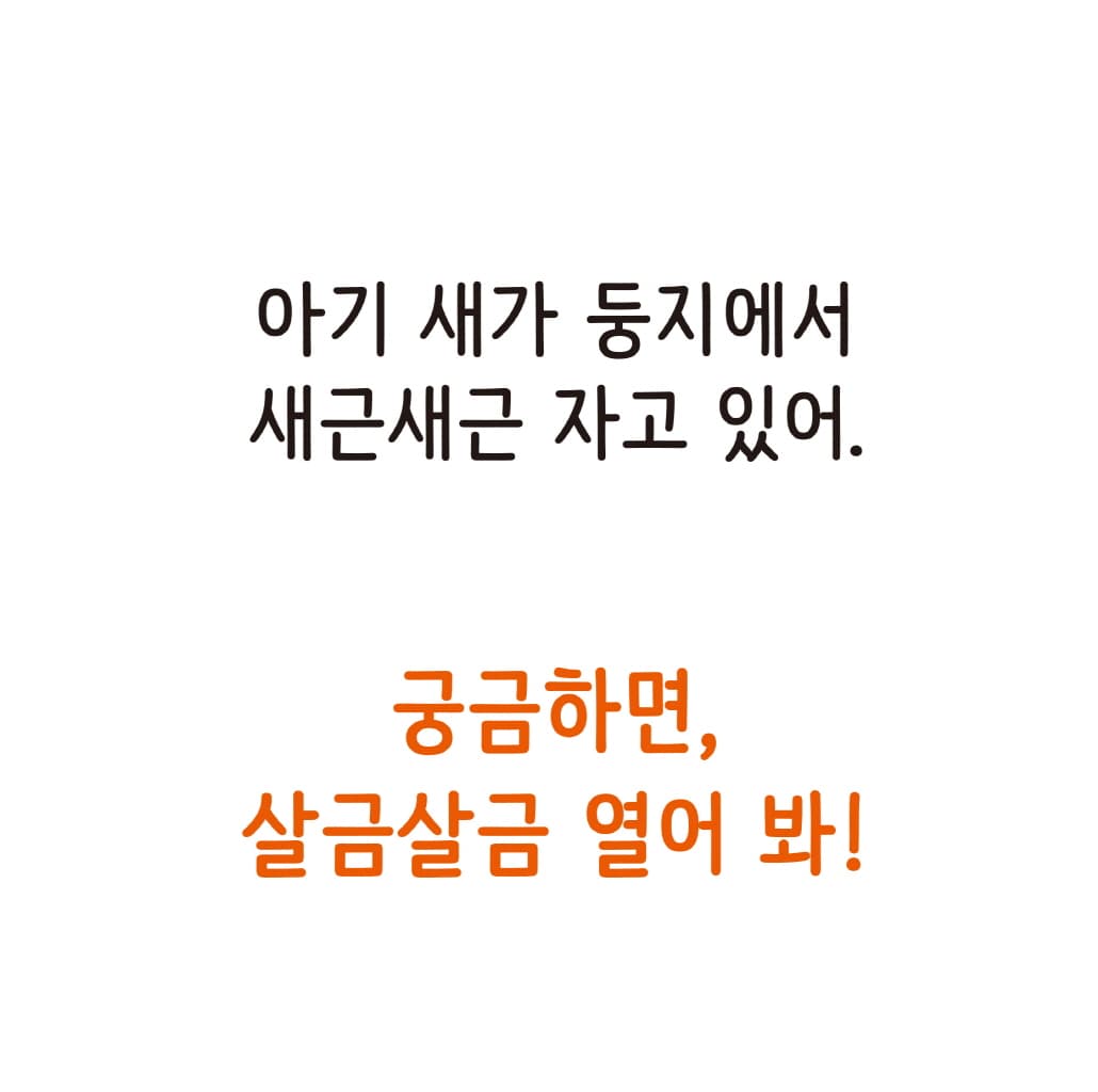 어디에서 잘까?