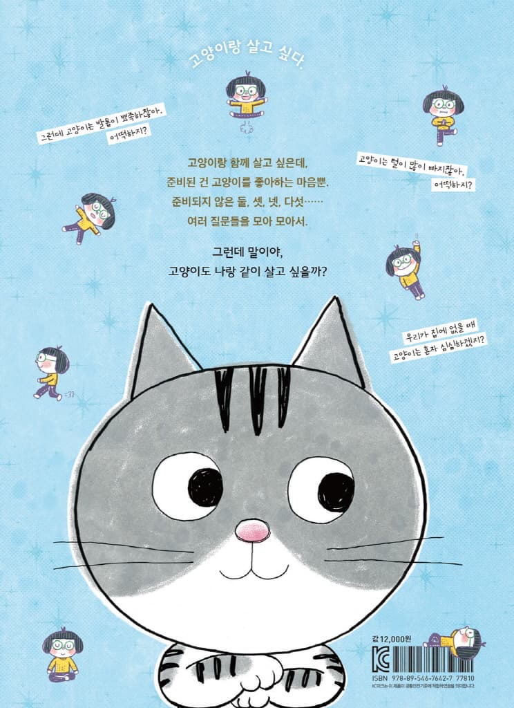 어떡하지?! 고양이