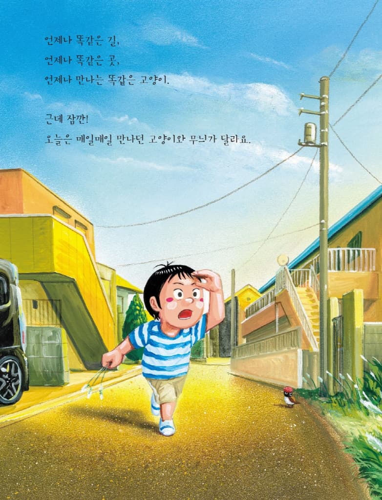 어떤 고양이가 좋아?