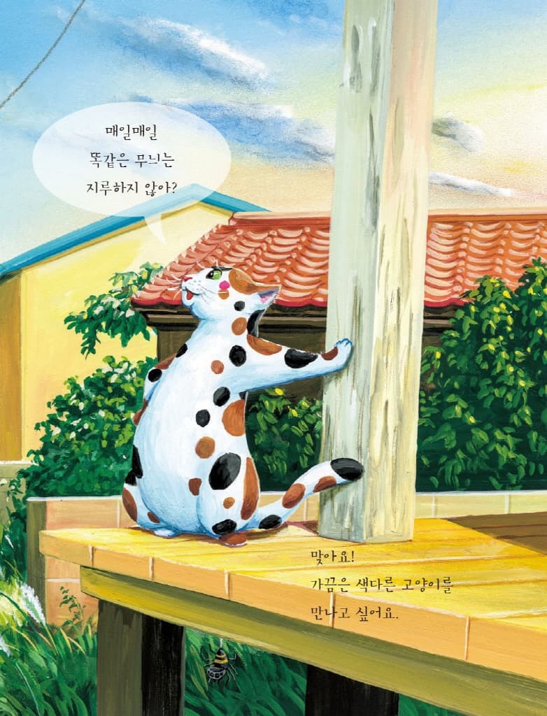 어떤 고양이가 좋아?